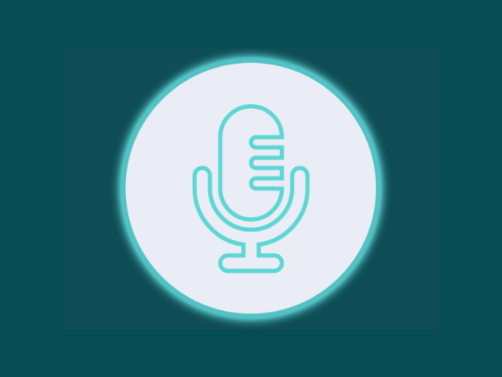 Podcast BIM bez iluzí